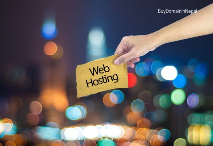 Green Web Hosting Gains Momentum: Eco-Friendly Providers to Watch Web Hosting